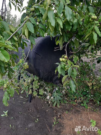 Бочка металлическая