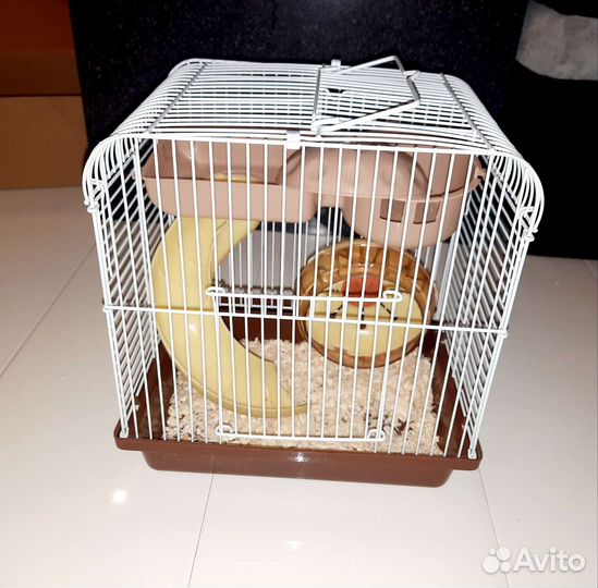 Клетка переноска для джунгарика