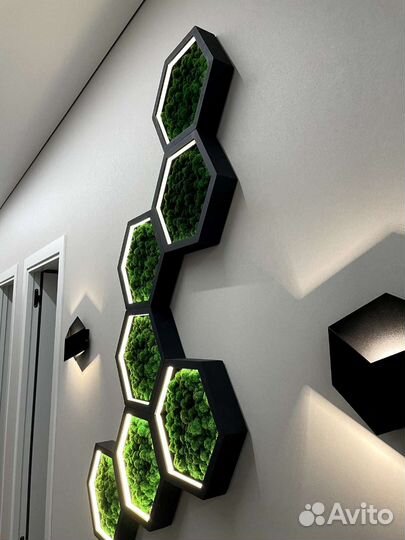 Соты со мхом Полки соты Мох ягель