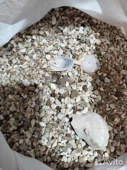 Аквариум 19 л