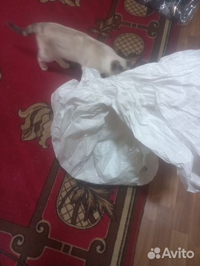 Вещи мешком