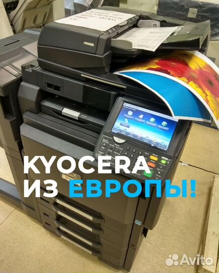 Мфу А3 Kyocera Taskalfa 3551ci