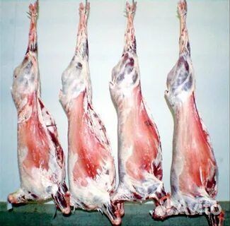 Мясо козлятина и баранина