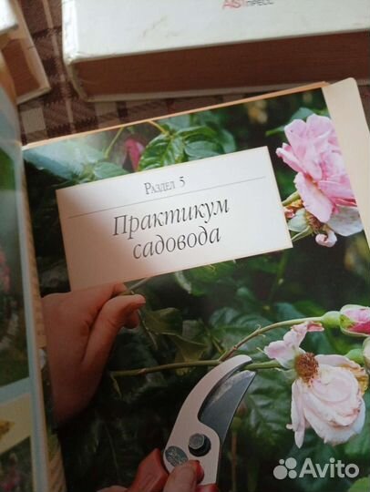 Энциклопедия садовода и огородника