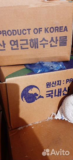 Рулет из пеламиды