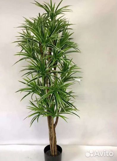 Искусственные деревья, бонсаи