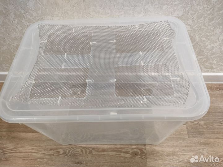 Контейнер для хомяка