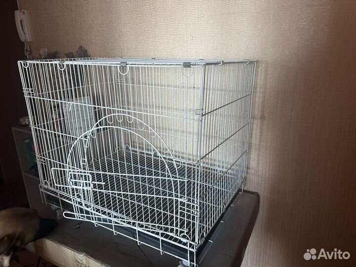 Клетка для грызунов хорька