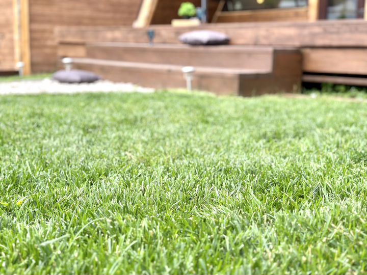 Дом 50 м² на участке 4 сот.