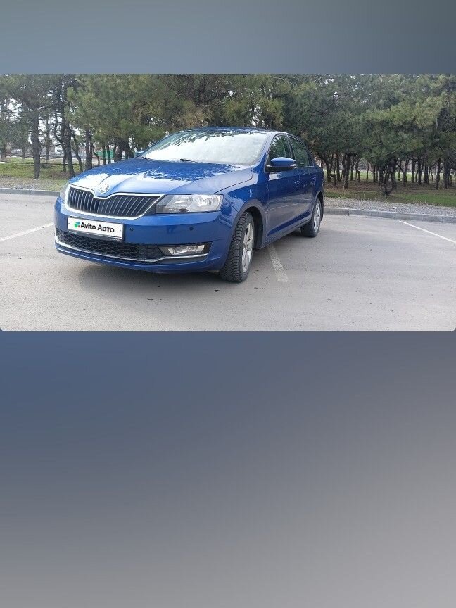 Skoda Rapid: фото владельца