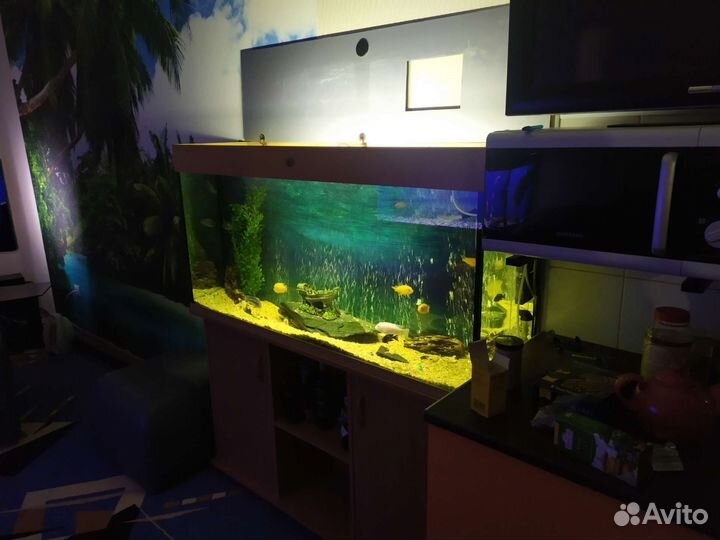 Аквариум с тумбой 300 литров