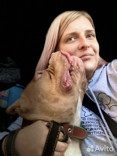 Кинолог профессиональный онлайн