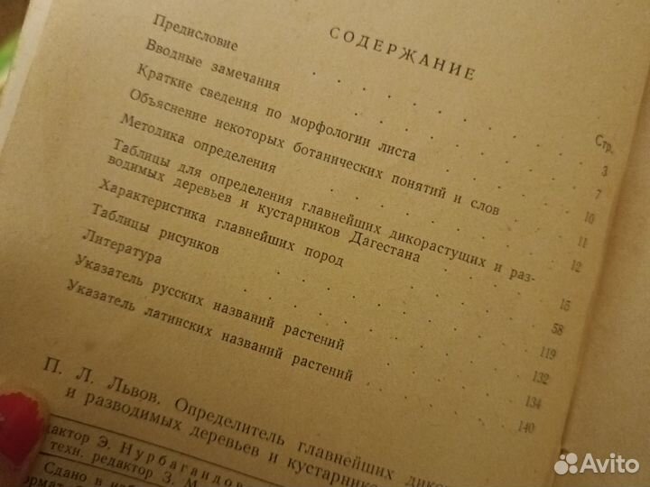 Определитель Дикорастущих деревьев дагестана 1956г