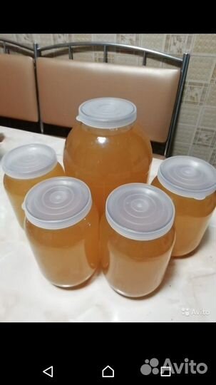 Мед свежий 2023