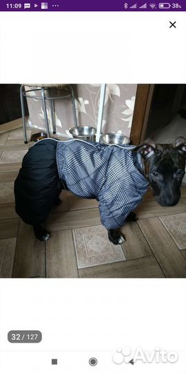 Зимний комбинезон для собак