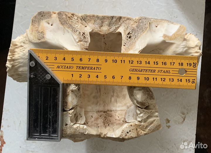 Кость для творчества