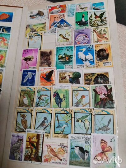 Коллекция марок СССР