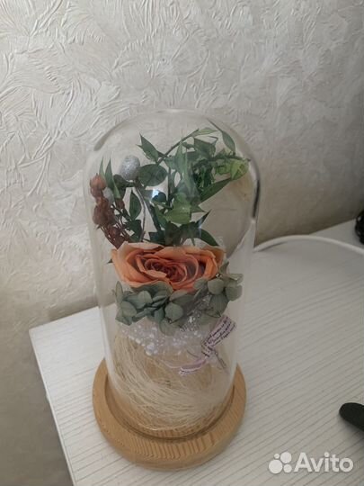 Клош стеклянный