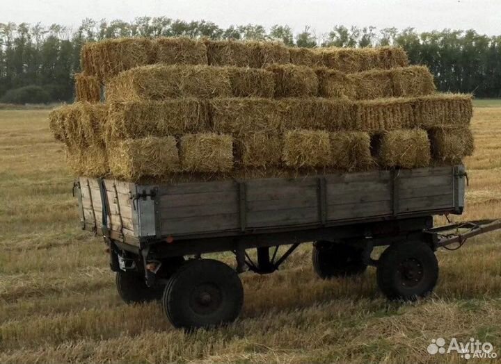 Сено в тюках