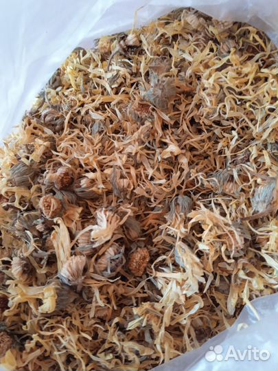 Коллекционные семена цветы и овощи