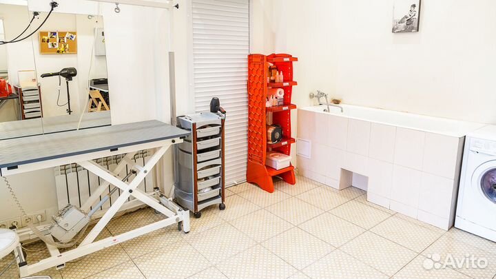 Сдается в аренду рабочее место грумера