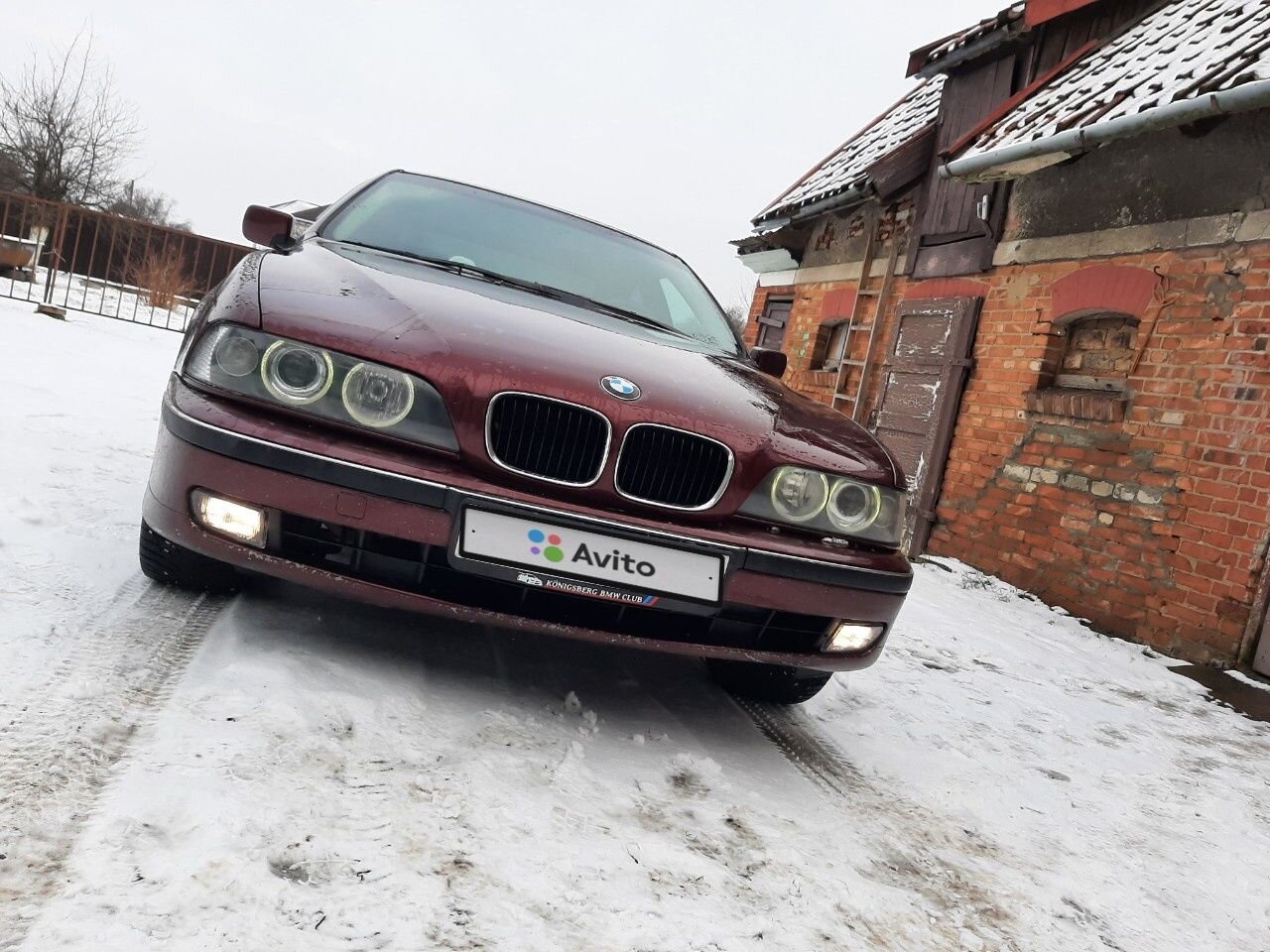 BMW 5 серия: фото владельца