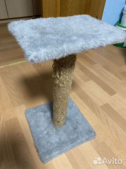 Когтеточка