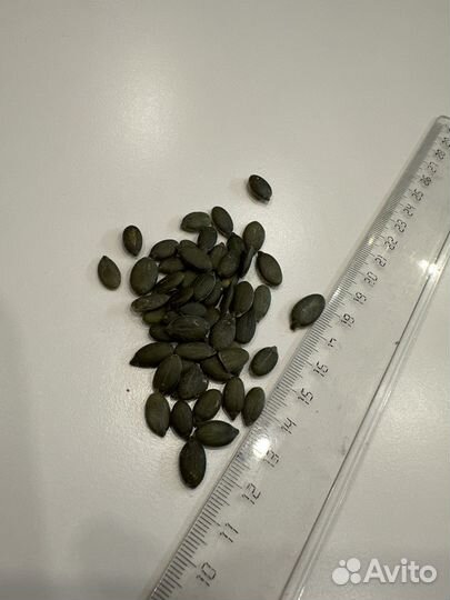 Семена штирийской тыквы