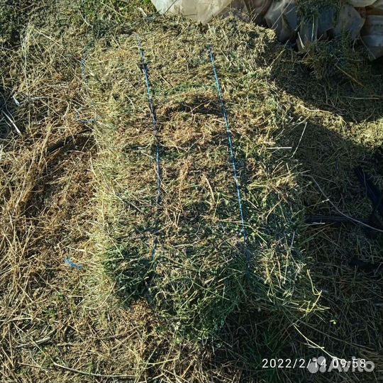 Сено солома в тюках