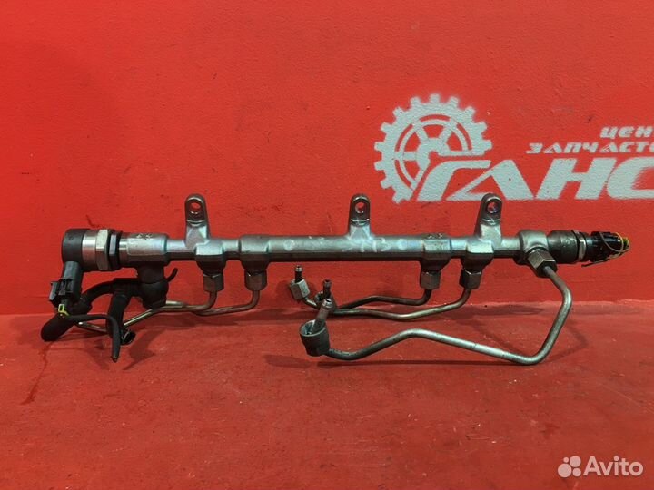 Топливная рампа Hyundai Santa Fe Cm SUV D4HB 2.2L