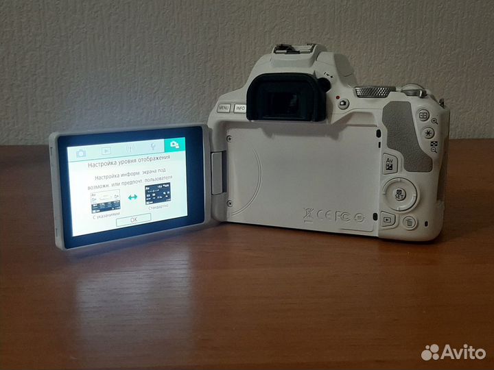 Зеркальный фотоаппарат Canon EOS 250D kit 18-55 IS