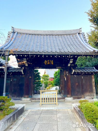 Токио Топ-Экскурсия Главное о северном Токио за 3