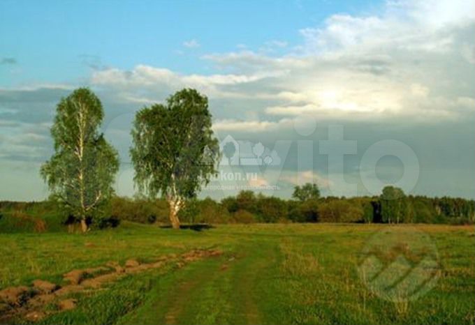 Участок 3,3 га (СНТ, ДНП)