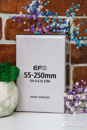 Объектив Canon EF-S 55-250mm F4.0-5.6 IS STM