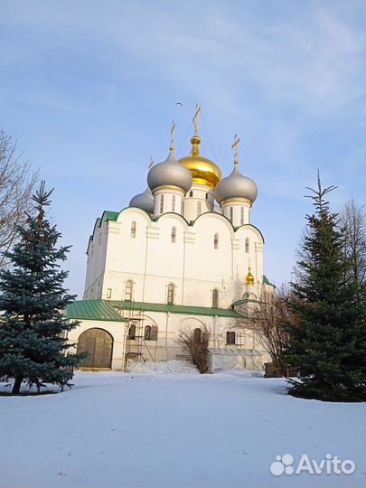 Москва Топ-Экскурсия Женские истории Новодевичьего