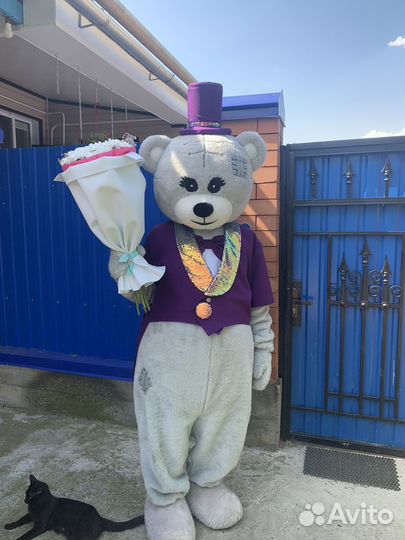 Аниматор (Тедди)