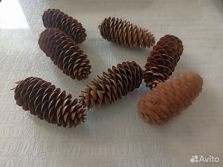 Шишки еловые для декора 7шт