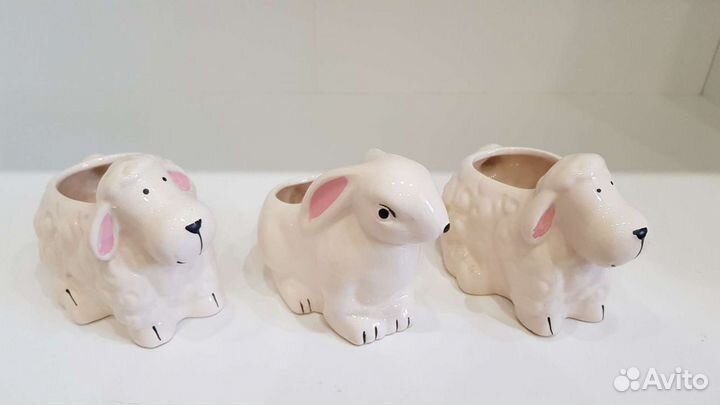 Горшок для кактусов