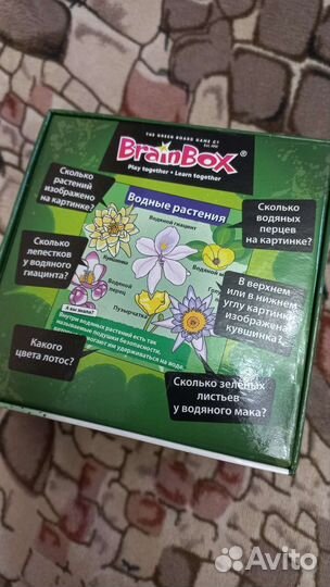 Настольная игра Сундучок знаний природа BrainBox