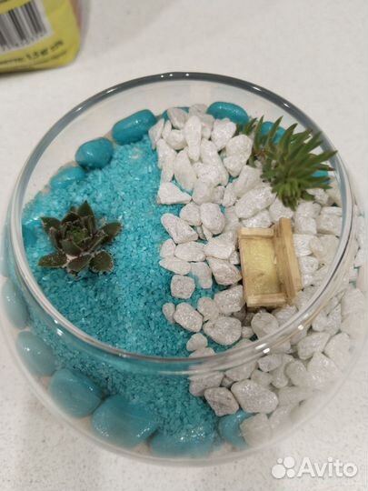 Флорариум. суккуленты