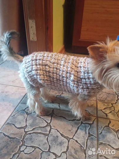 Одежда для собачек