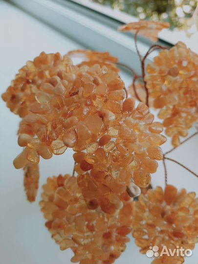 Янтарное дерево