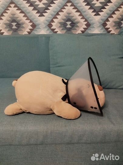 Воротник для собак