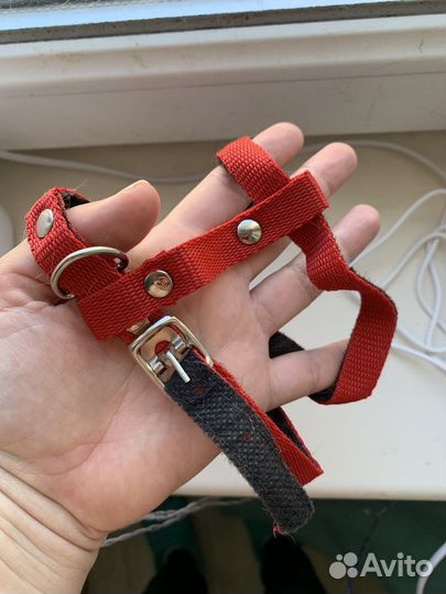 Ошейник для собак