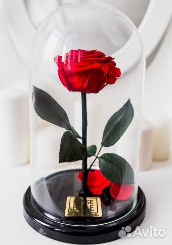 Розы в колбе