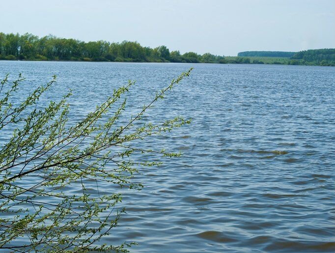 Участок 6 сот. (ИЖС)