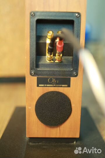 Акустика Bowers & Wilkins DM 602 / QLN G3