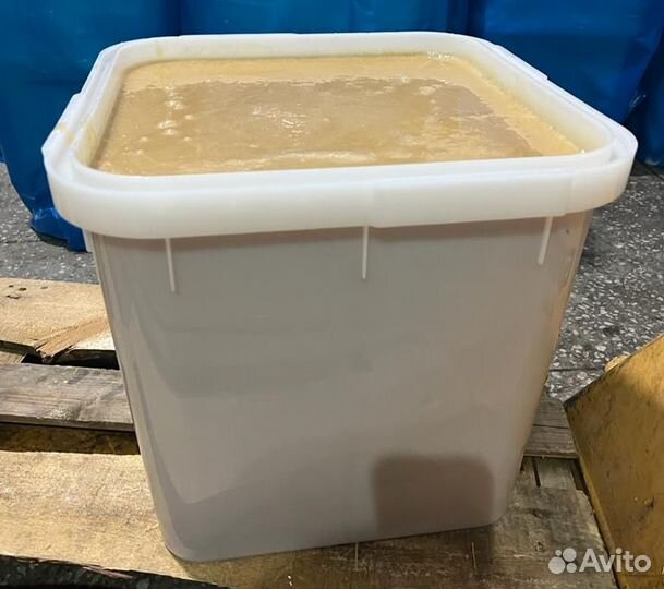 Мёд свежий лесной Качка 2023 год Опт