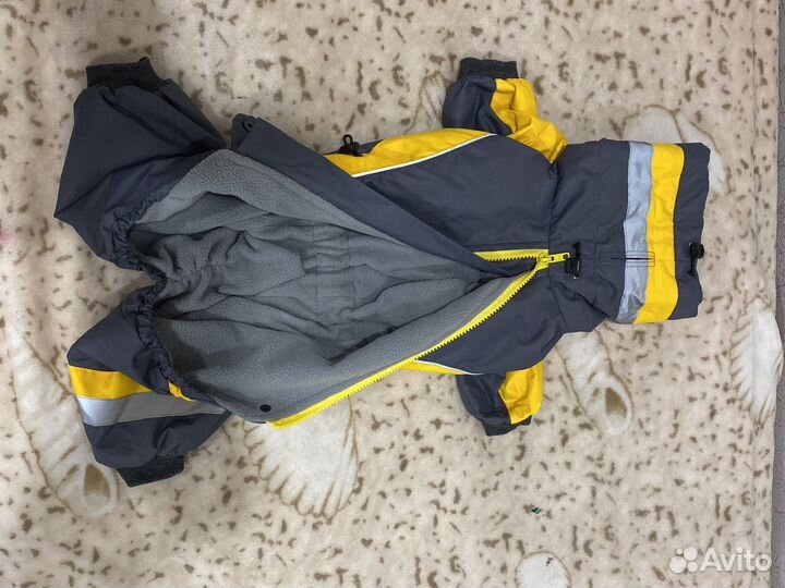 Комбинезон для собаки девочки бронь