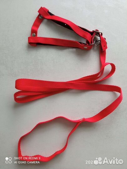 Шлейка с поводком